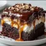 Chocolate Caramel Marshmallow Ooey Gooey Cake with toasted marshmallows and melted chocolate chips